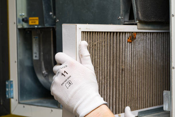 Best Ventilation Cleaning Services  in Scottville, MI